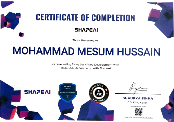 Certificate in web development